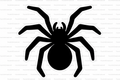 Spider Straw Topper